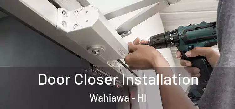 Door Closer Installation Wahiawa - HI