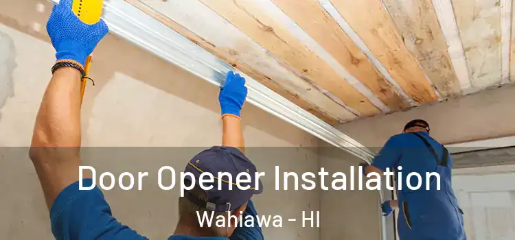 Door Opener Installation Wahiawa - HI