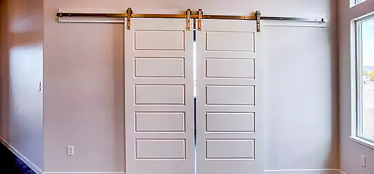 Glass Barn Door with Installation Hardware Kit Wahiawa