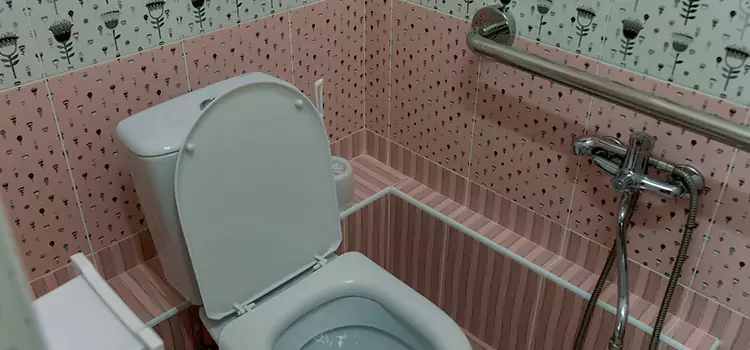 Meeting Diverse Needs With Accessible Restroom Solutions in Wahiawa, HI