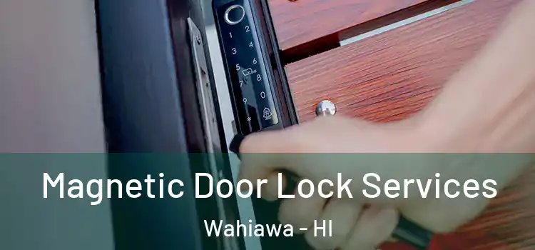 Magnetic Door Lock Services Wahiawa - HI